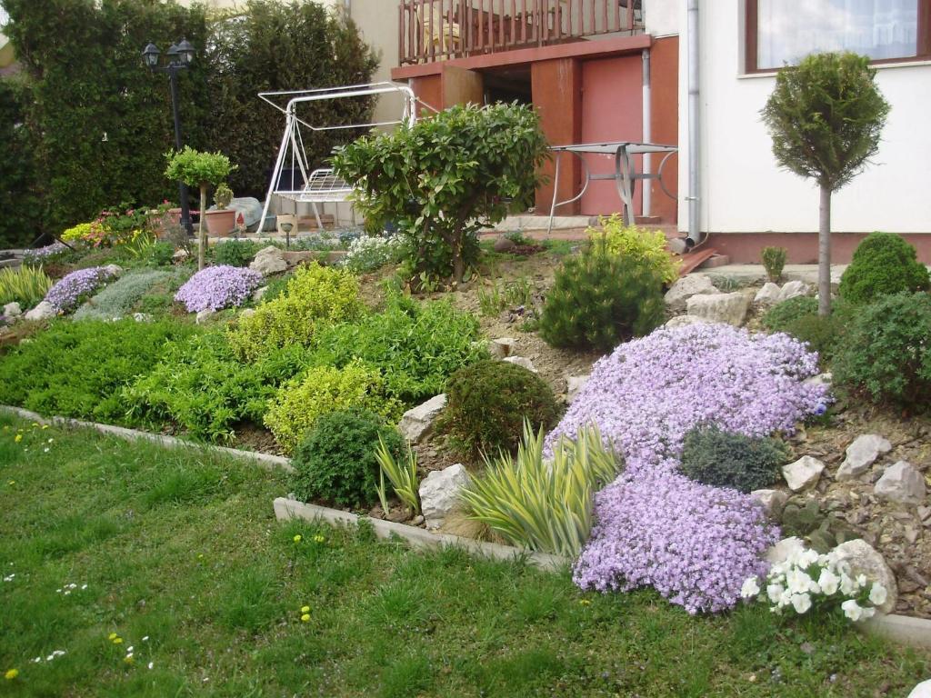 Apartman Berki Heviz Room photo
